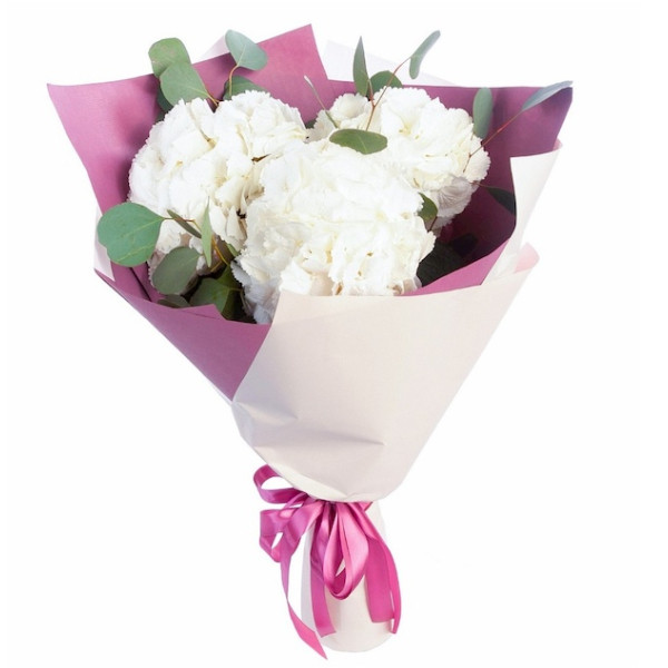 Букет цветов "Белые гортензии" Букет цветов "Белые гортензии"